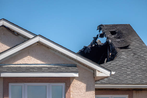 Top rated local Odor Removal specialists in Queen Creek, AZ